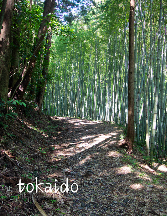 Tokaido bar soap